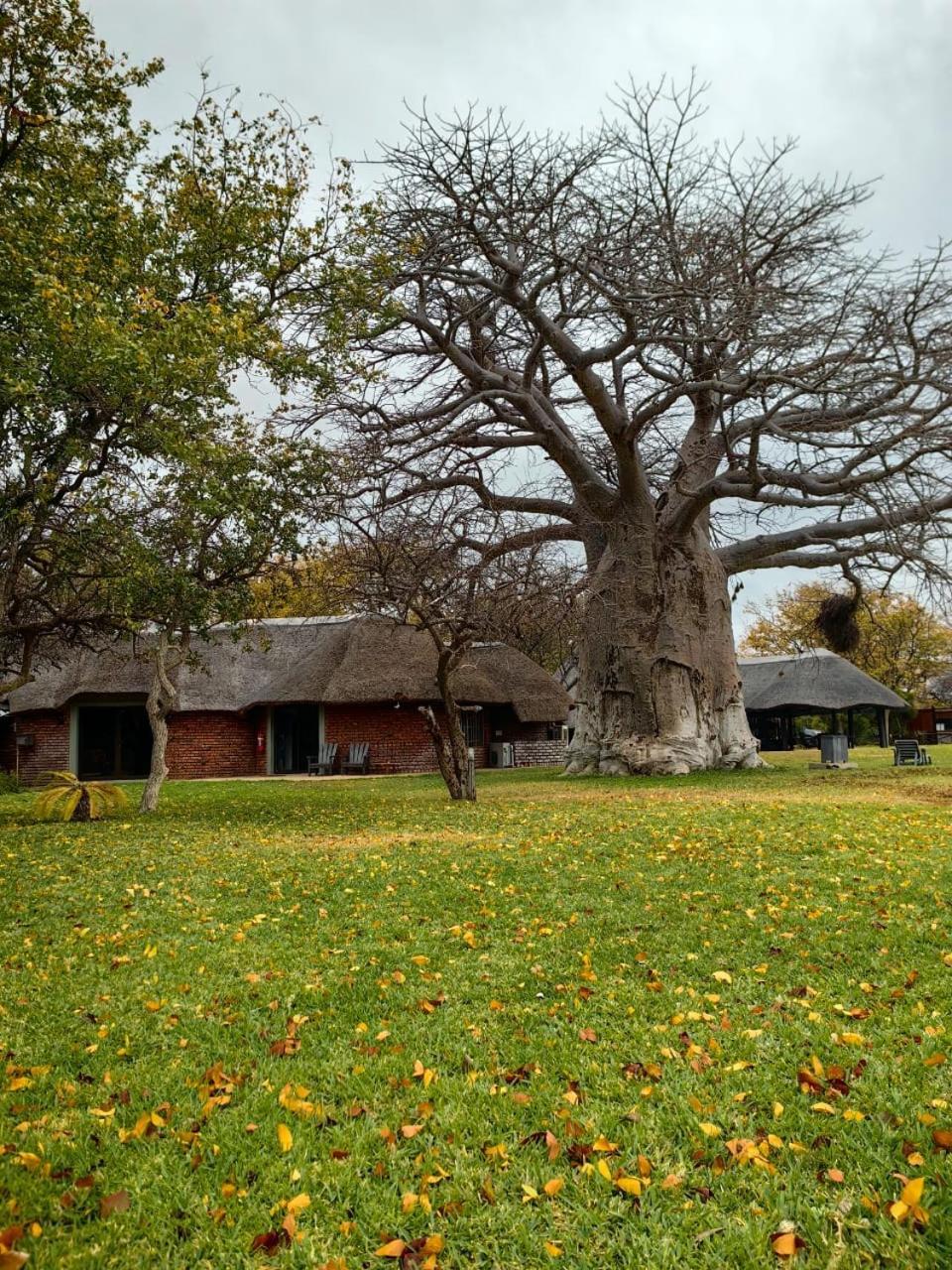 Munati B&B Musina Zewnętrze zdjęcie