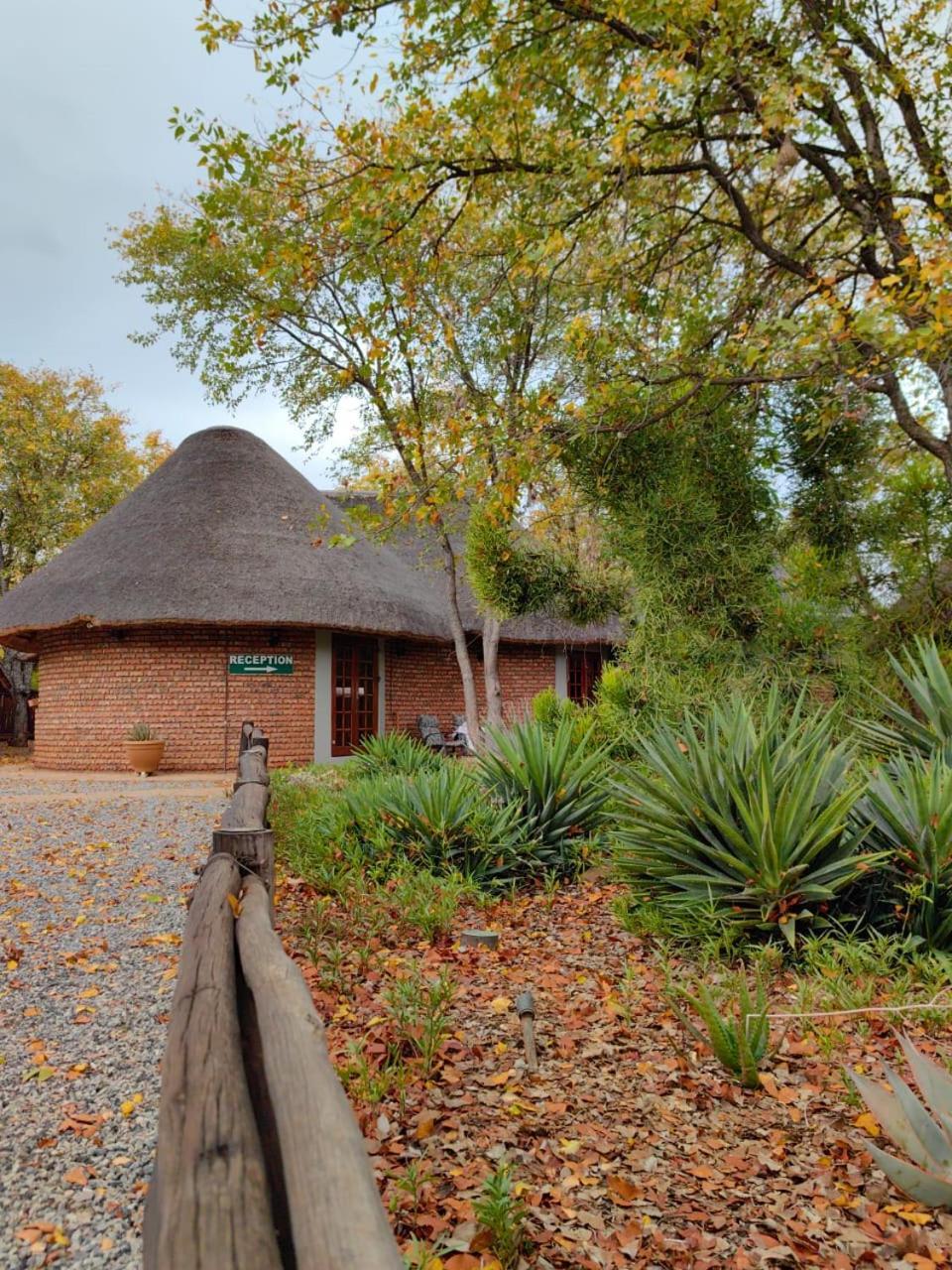 Munati B&B Musina Zewnętrze zdjęcie