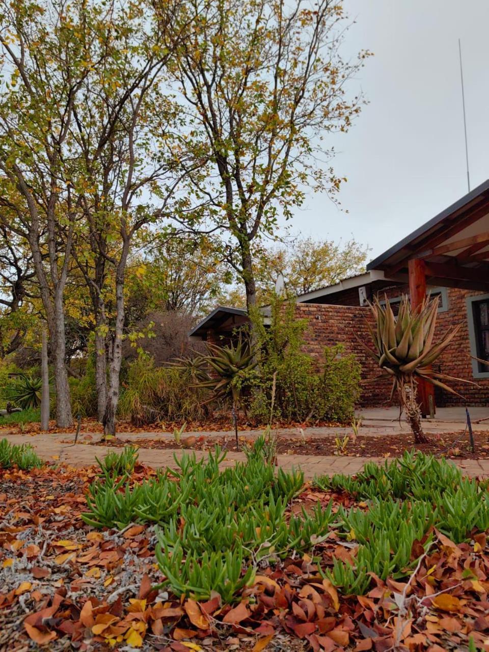 Munati B&B Musina Zewnętrze zdjęcie