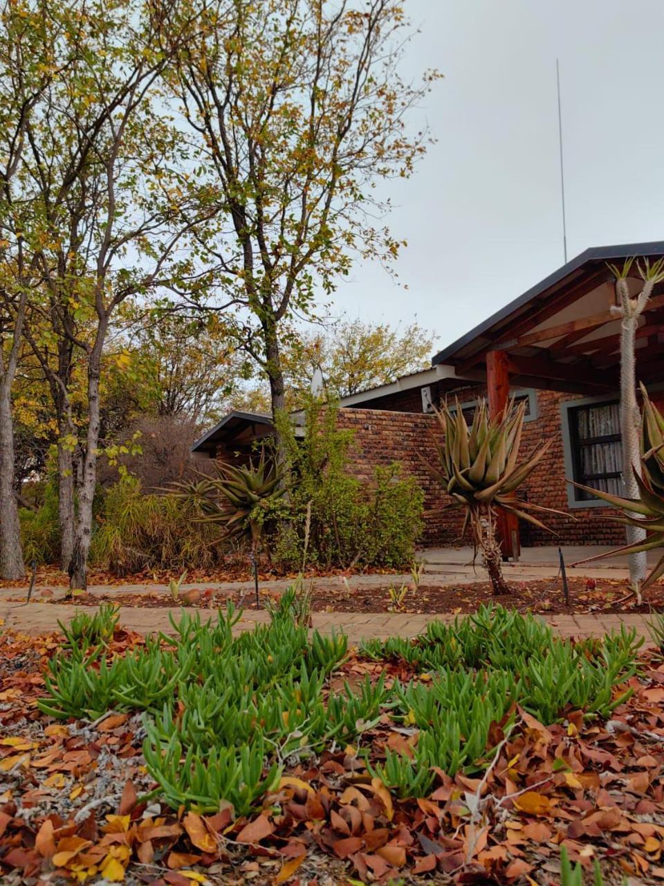 Munati B&B Musina Zewnętrze zdjęcie